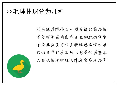 羽毛球扑球分为几种